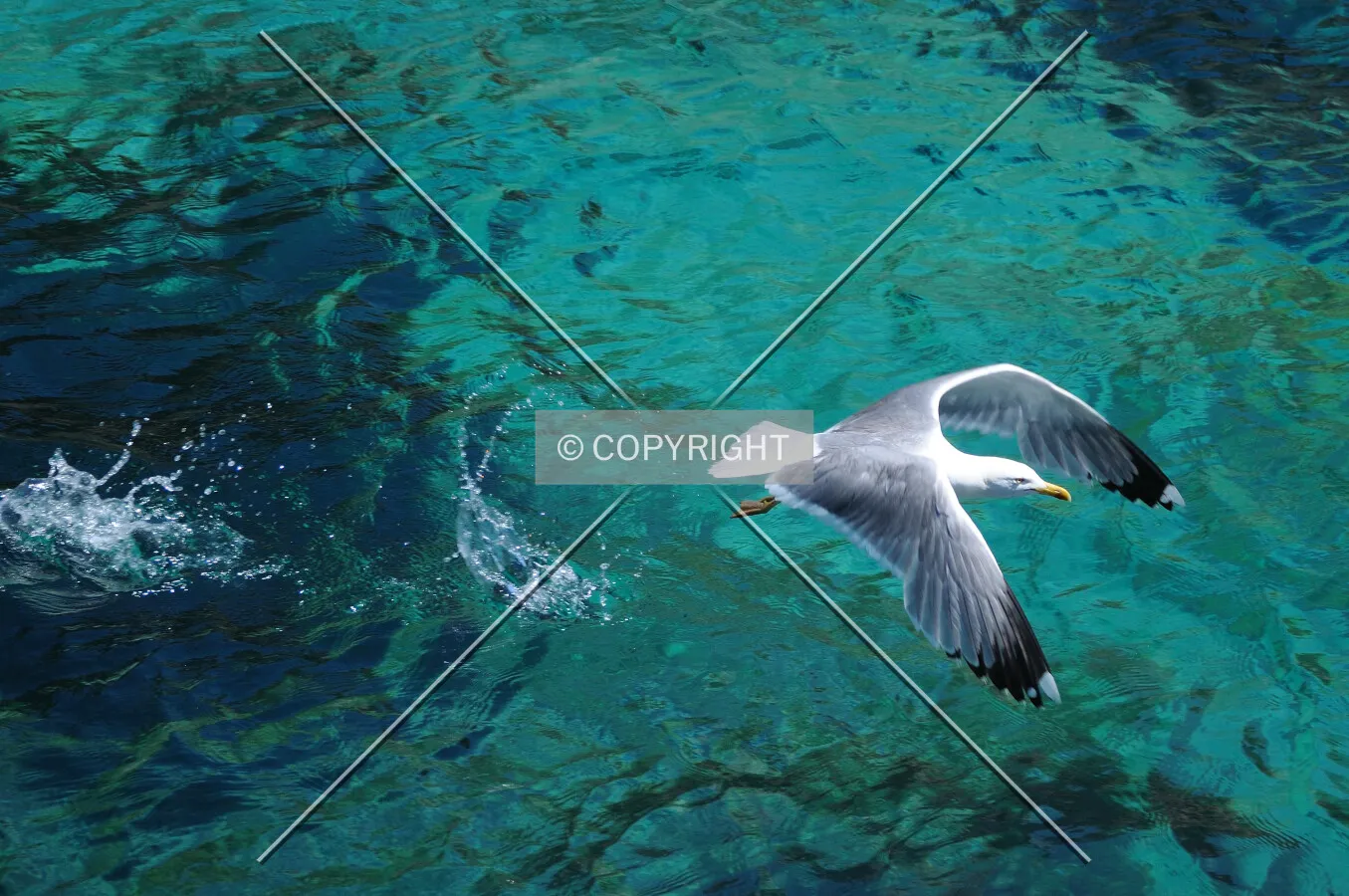 Taking off