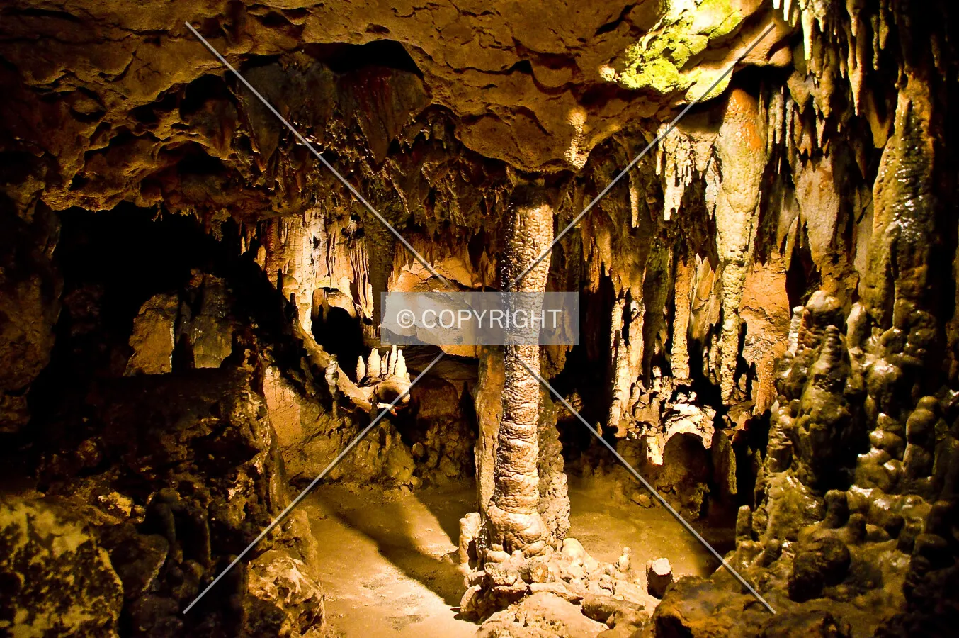 Florida Caverns State Park, 3345 Caverns Rd, Marianna, Florida, U.S.A.