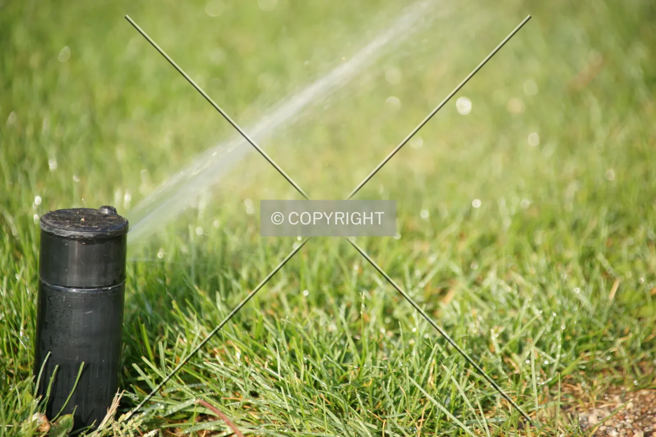 Water distributor