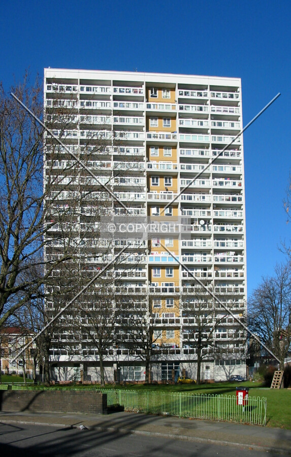View from Whitethorn Street to the south