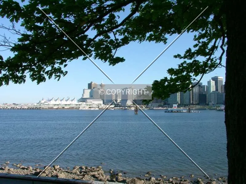 Coal Harbour from Stanley Park
