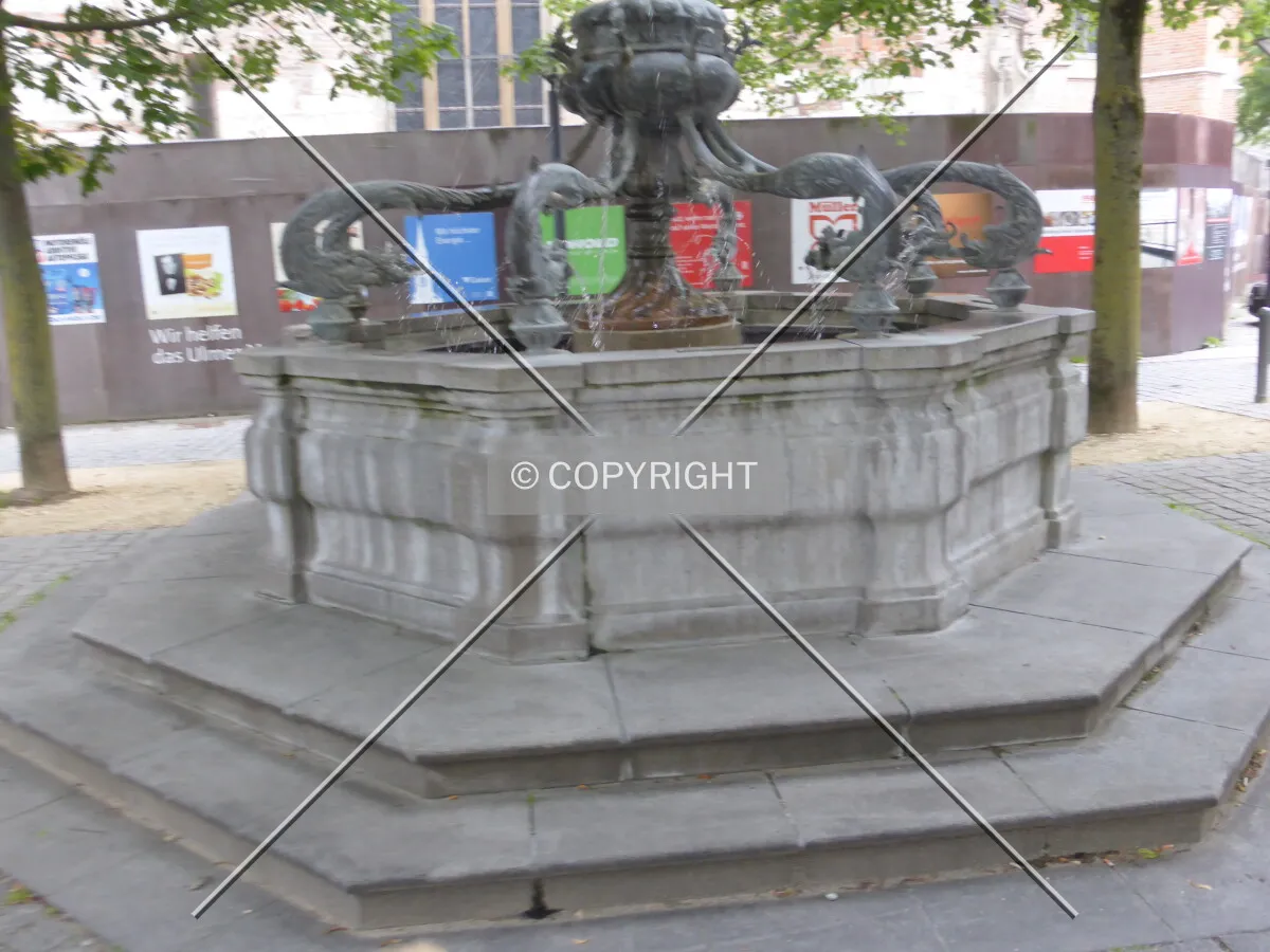 Photo 472-573-492