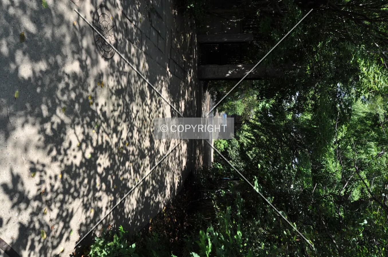 Photo 473-189-668