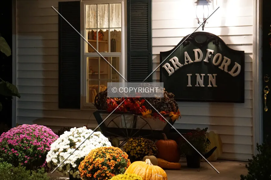 Photo 473-223-654