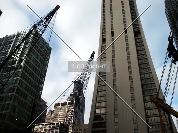 Foundation cranes; 13 January 2004