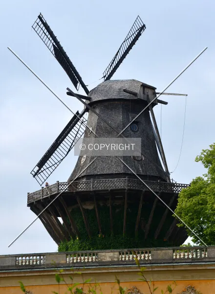 Photo 473-279-783