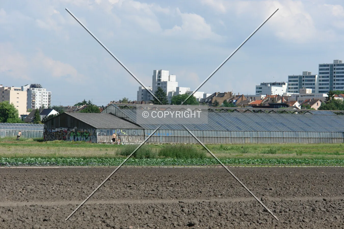 Greenhouses
