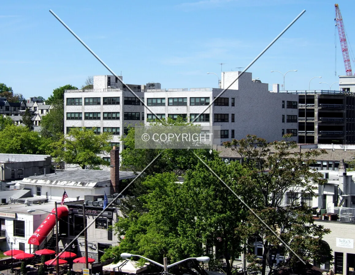 View from the northeast