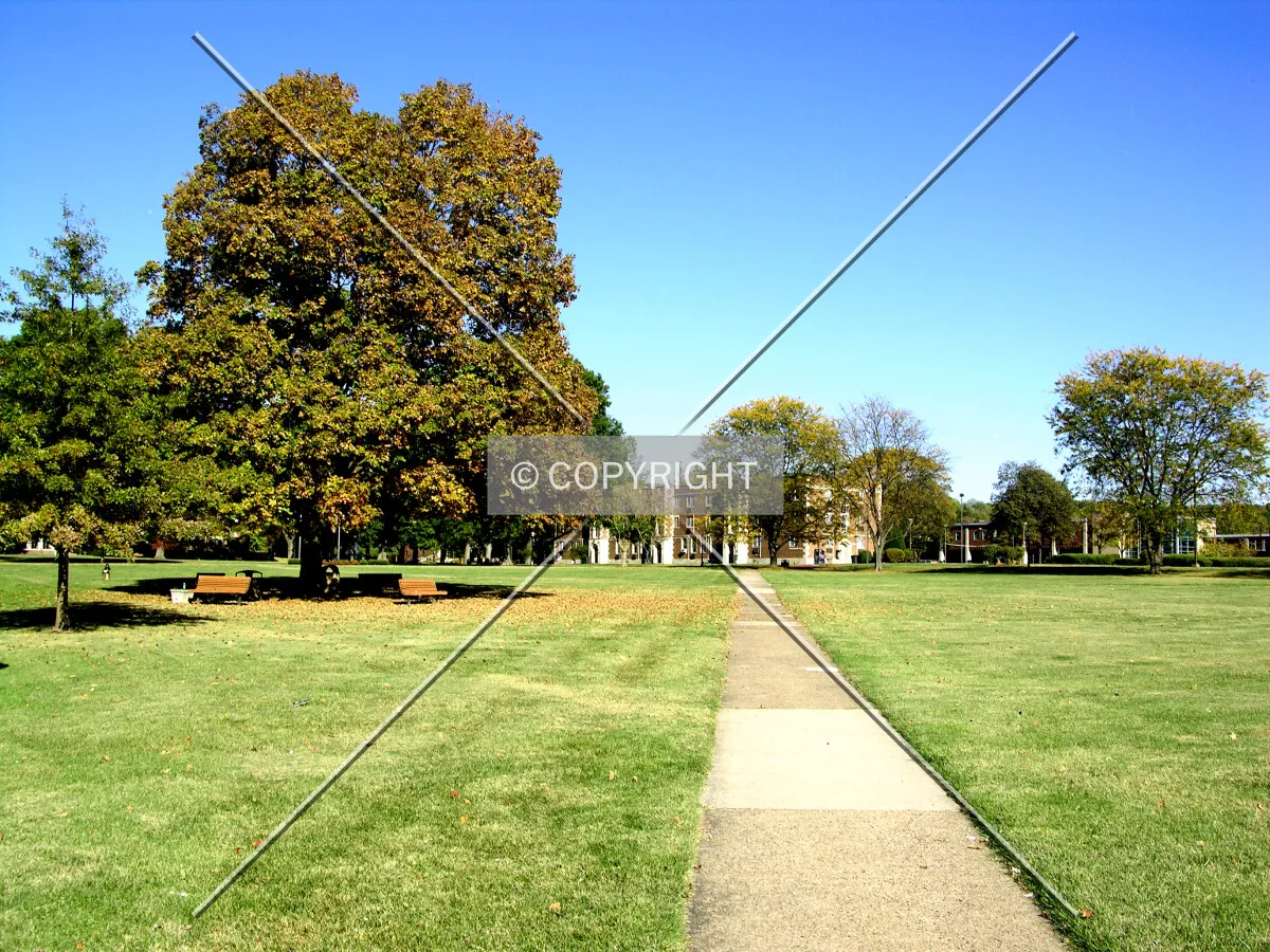 Central quad