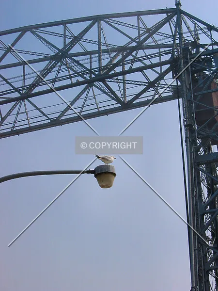 Photo 474-206-545