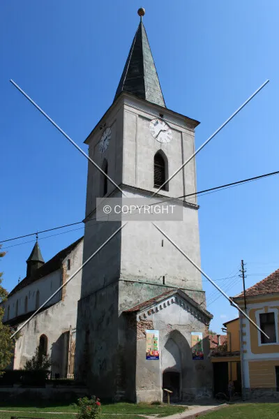 Photo 474-410-072