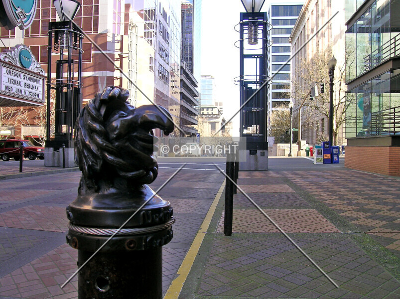 Photo 474-434-184