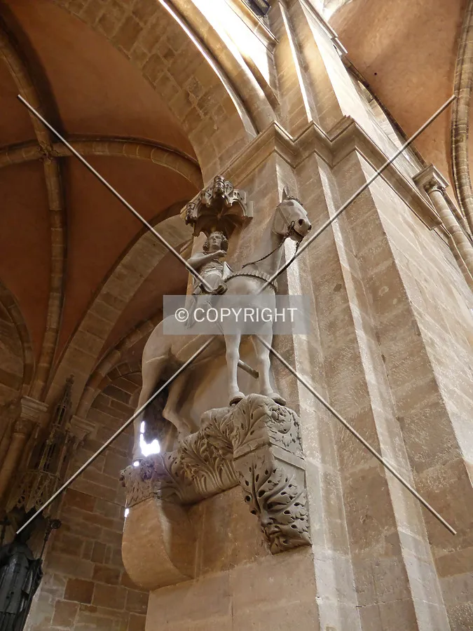 Photo 474-663-229
