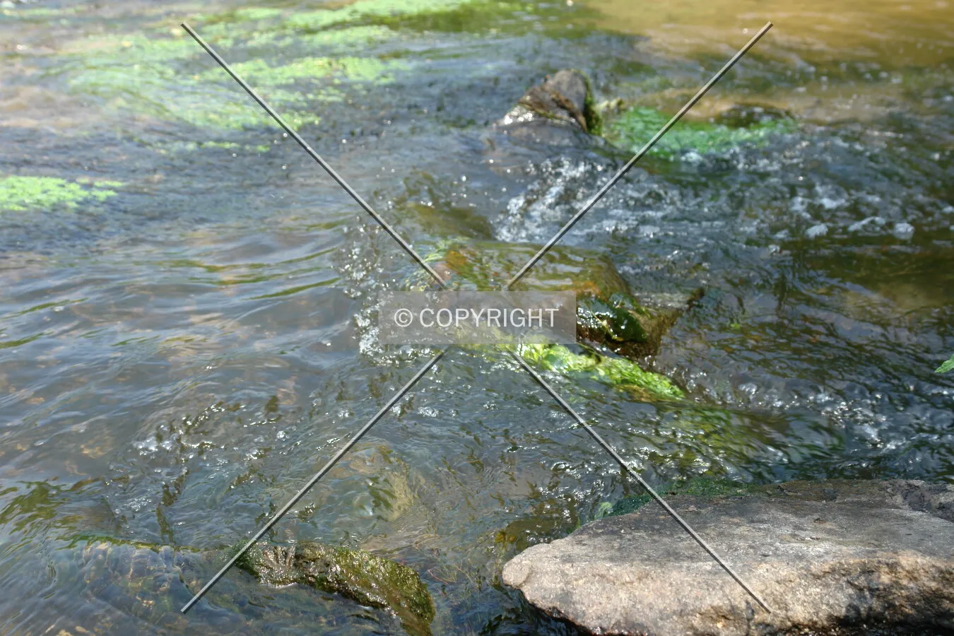 Running water in a creek