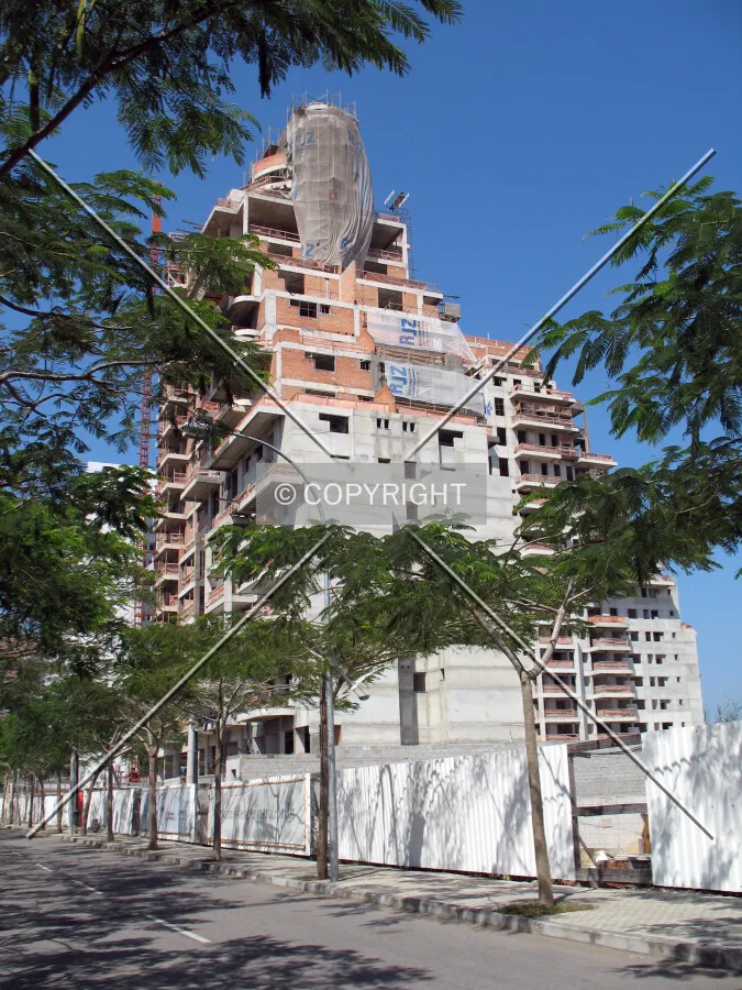 Looking up from Avenida dos Flamboyants