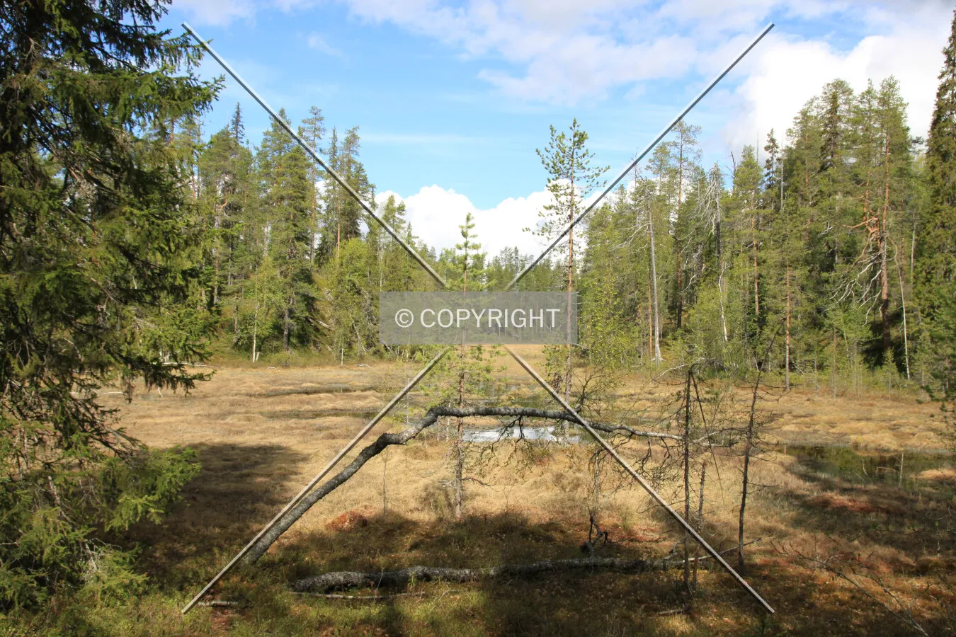 Oulanka National Park