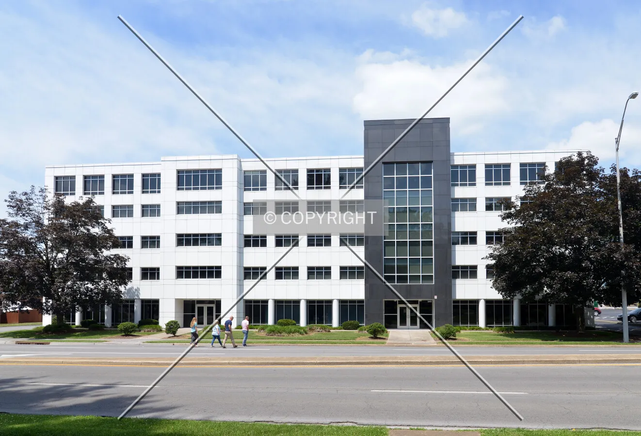 View from the east