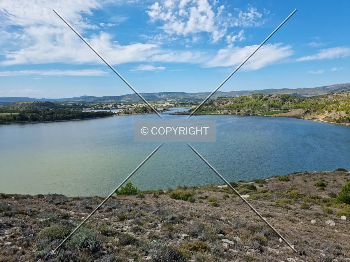 Photo 476-125-253