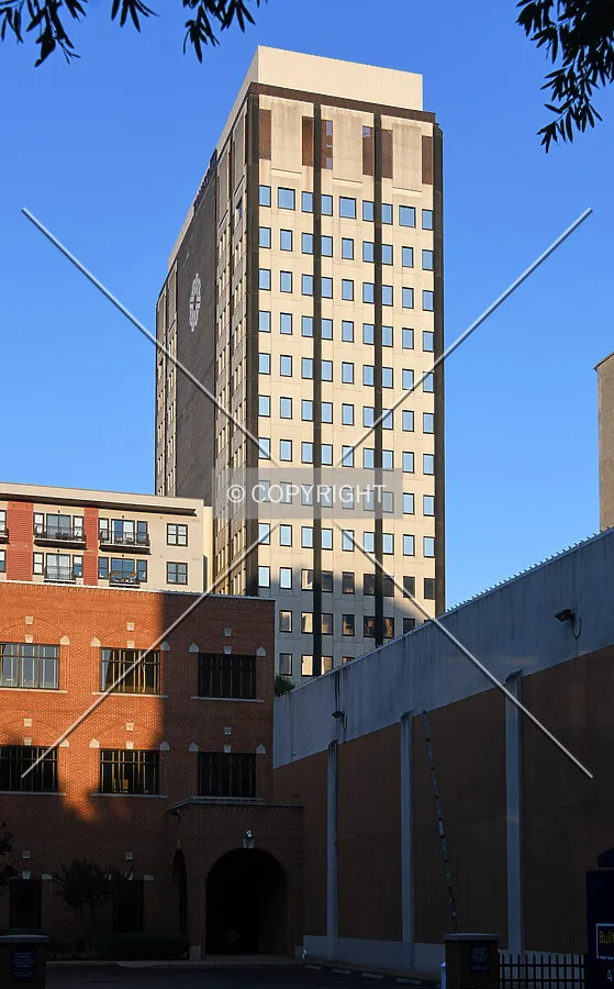 View from the northwest