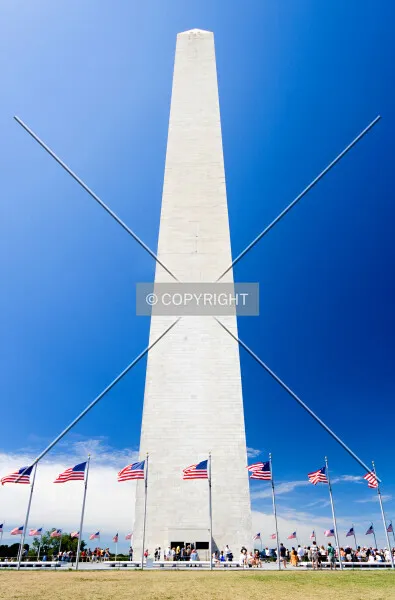 Photo 476-416-538