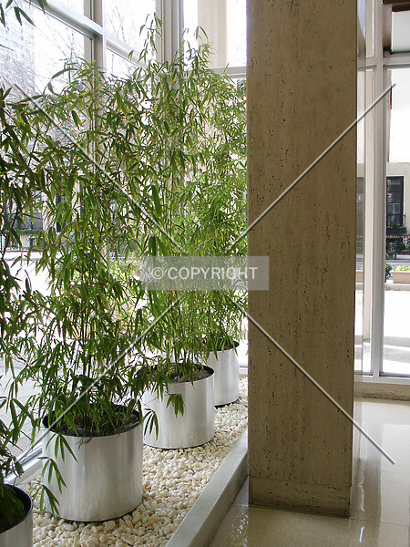 Photo 476-610-294