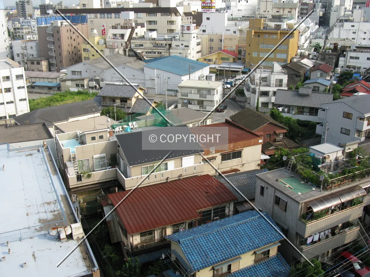 Photo 477-006-943