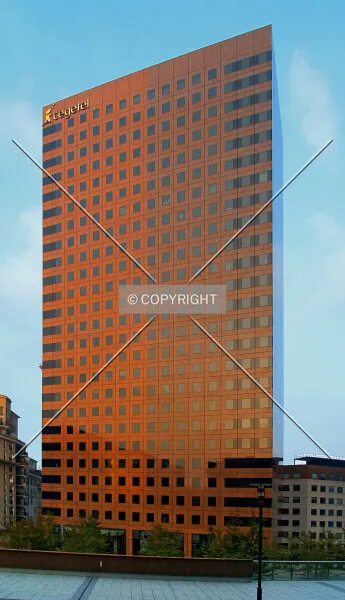 Photo 477-125-345
