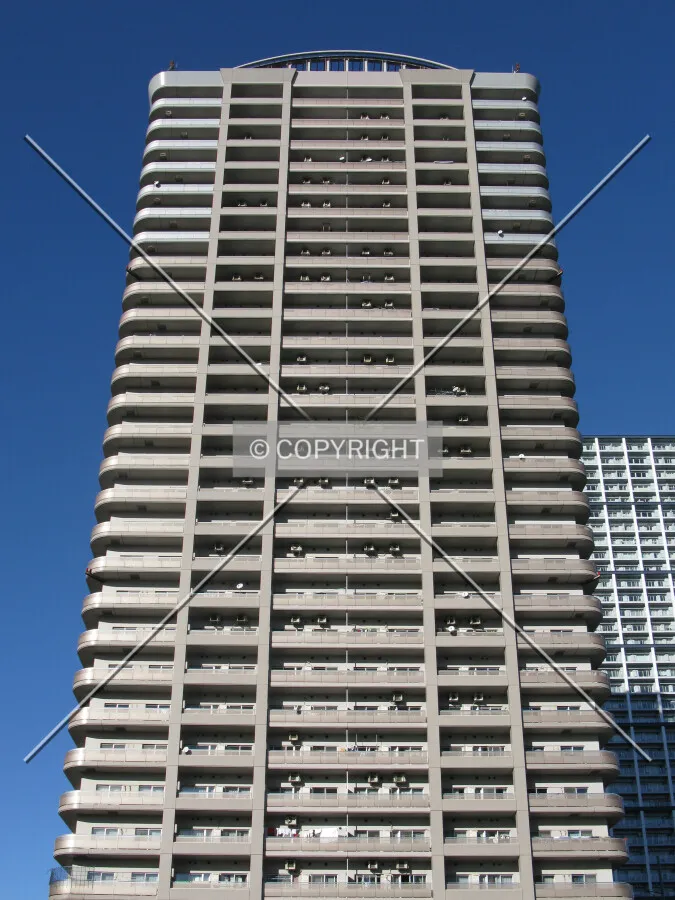 View from the south