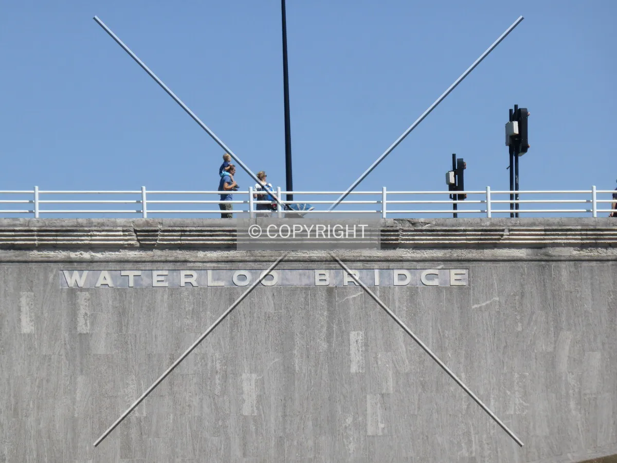 Photo 477-491-482