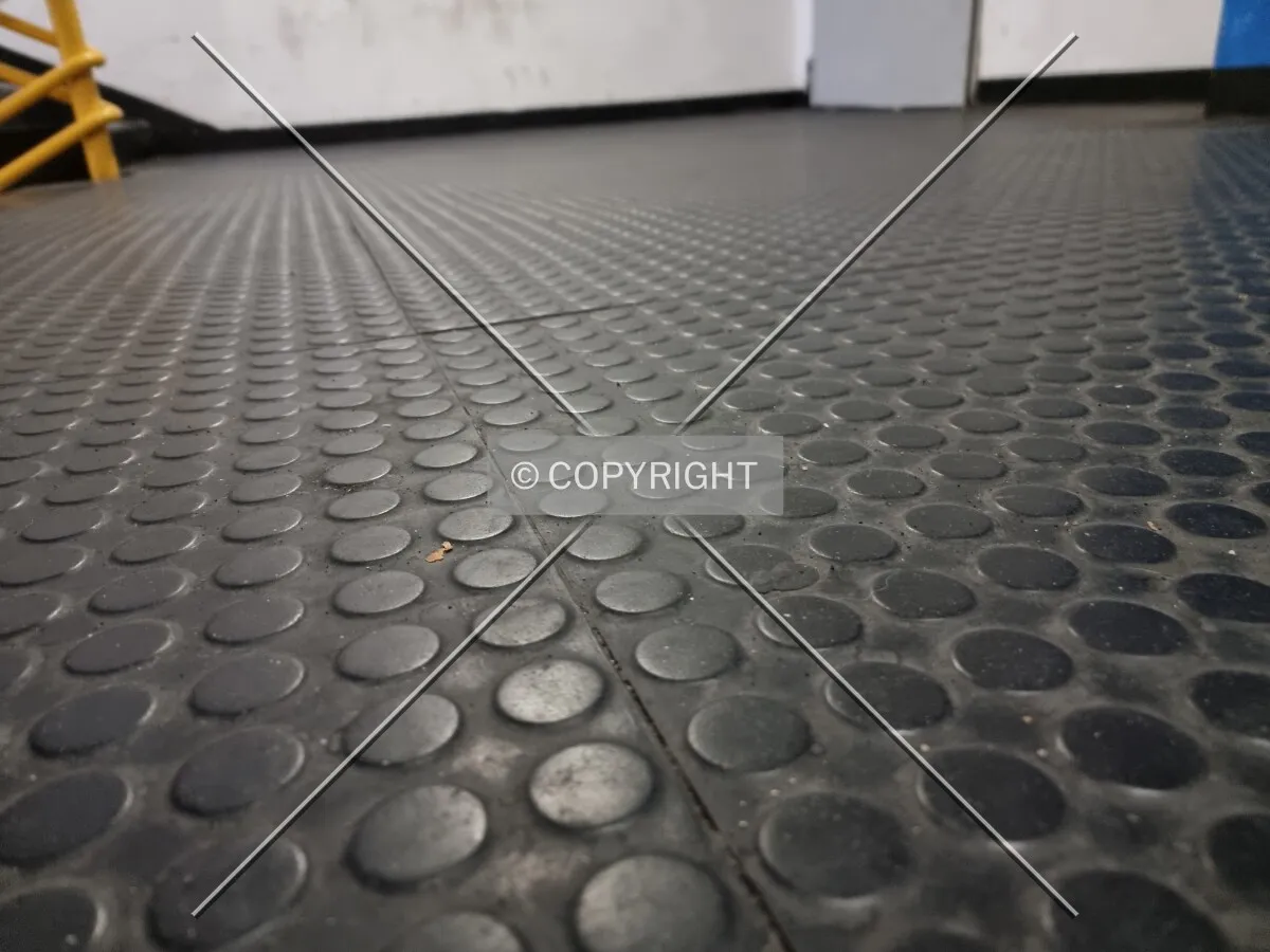 Photo 477-518-851