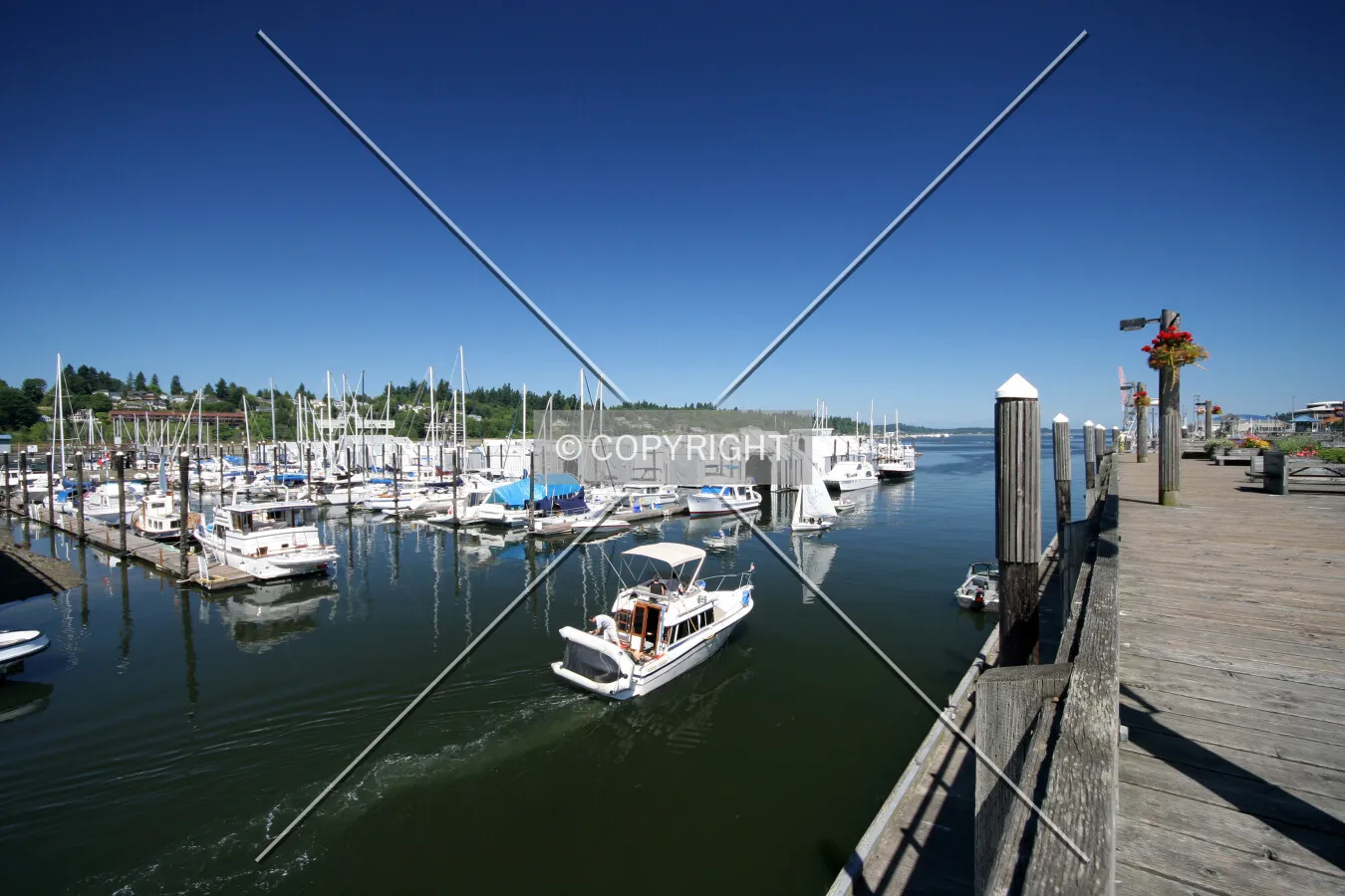 View from Percival Landing Park