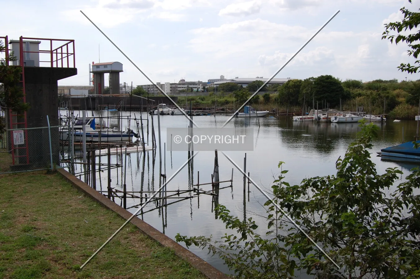 Photo 477-682-392