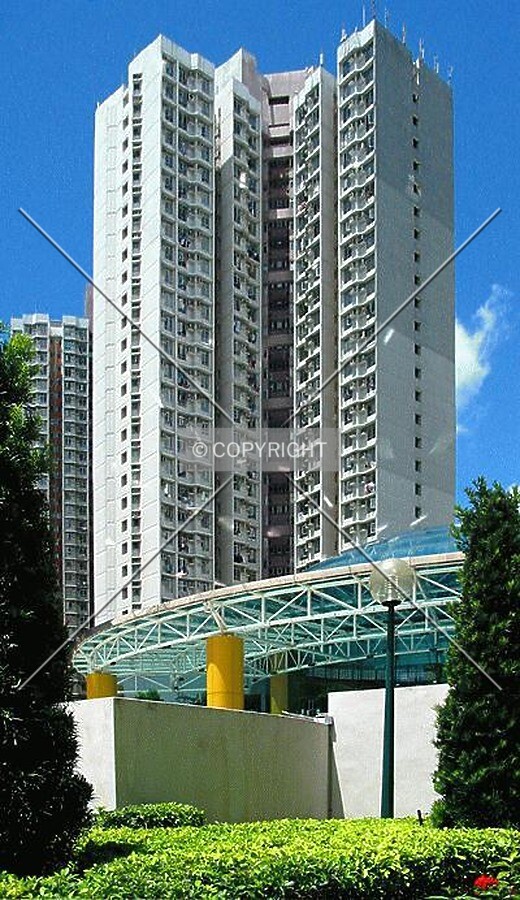 View from the court area