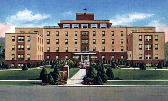View from the north