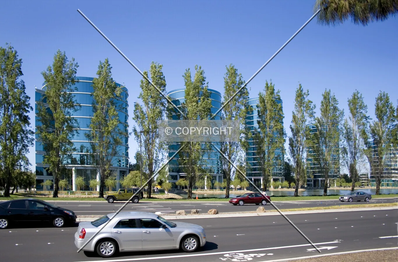 The complex viewed through the tree-lined Marine Parkway