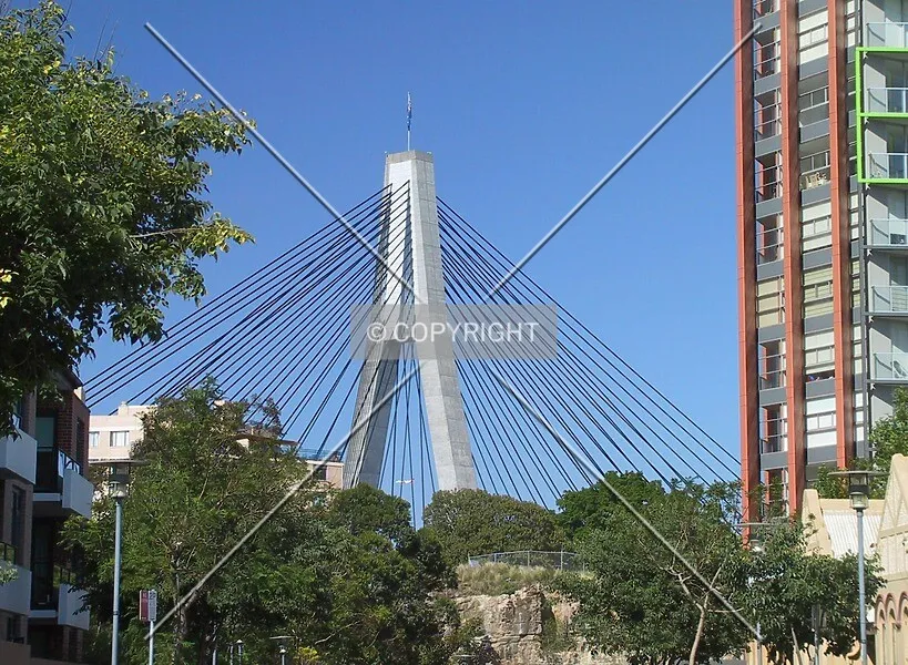 Photo 478-108-441