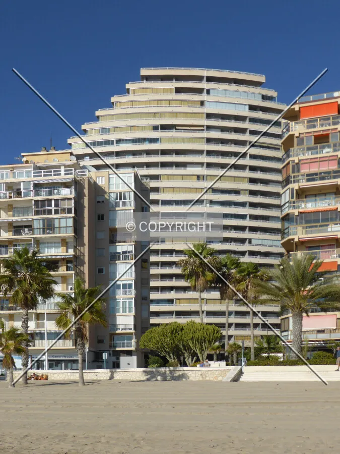 Photo 478-572-583