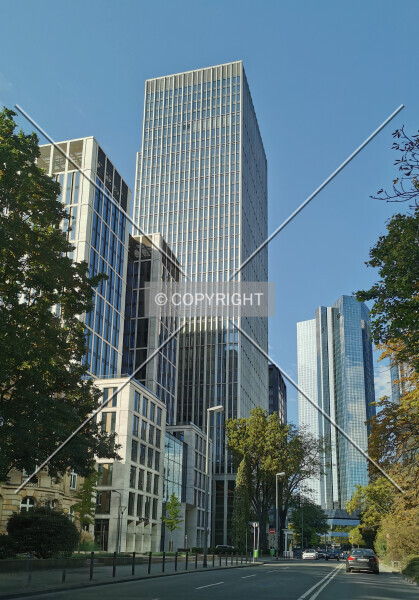 Photo 478-689-483