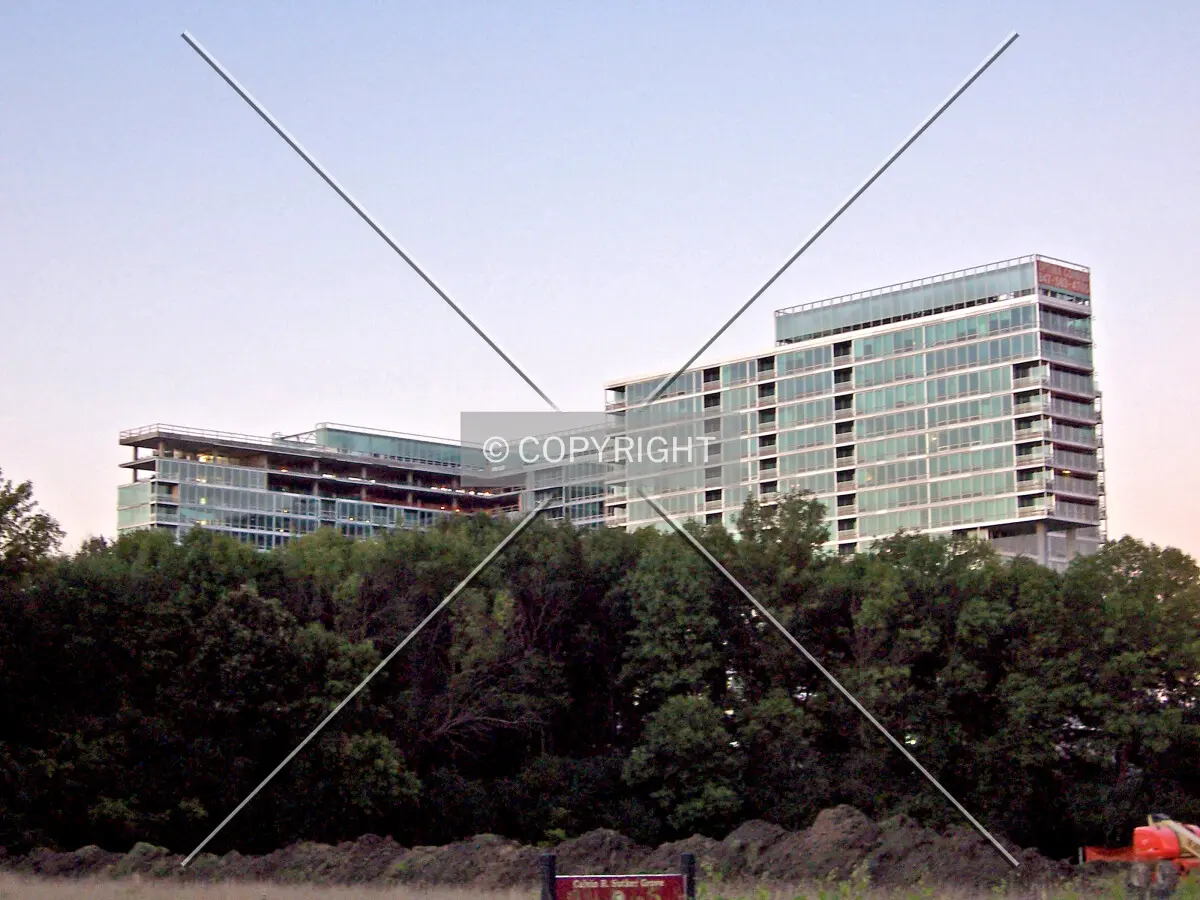 Entire complex rising above the trees, viewed from the southwest