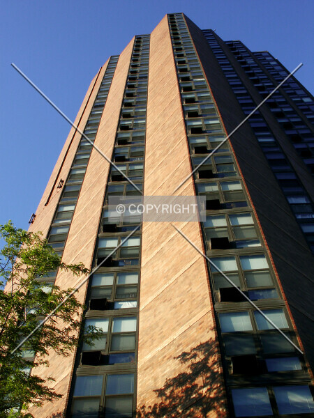 Photo 479-240-013