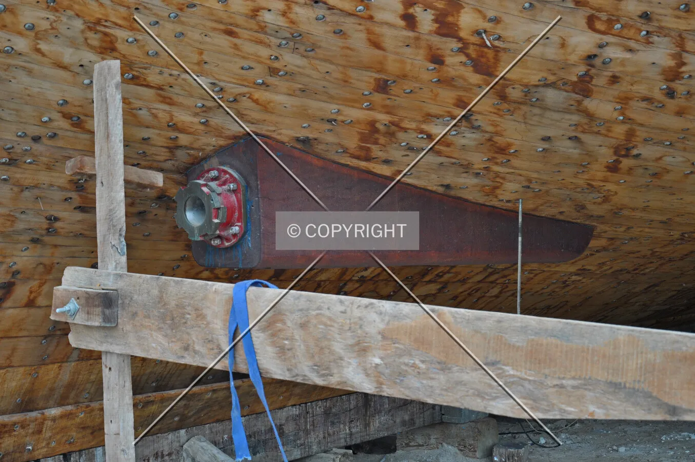 Photo 479-301-384