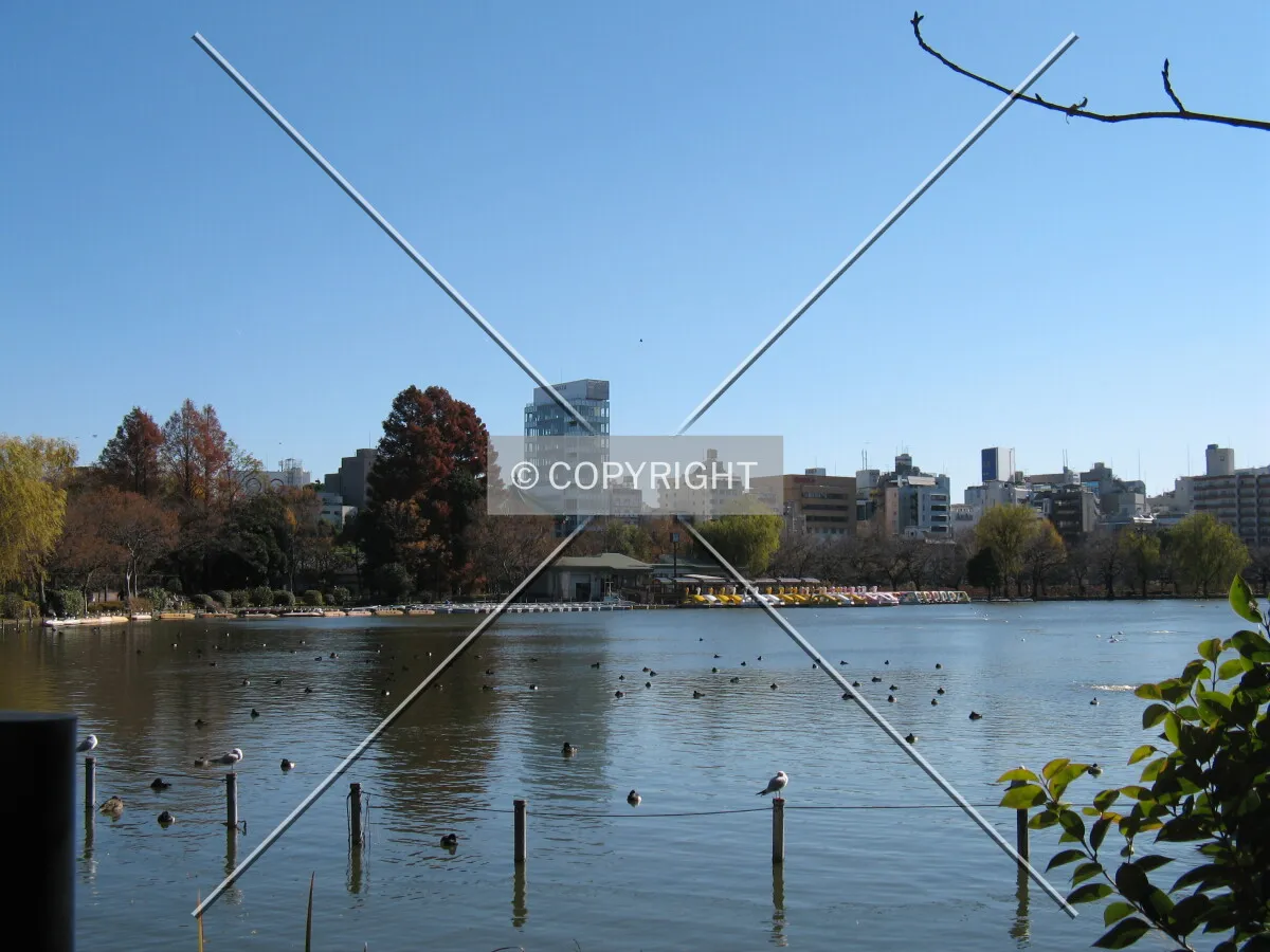 Photo 480-004-871