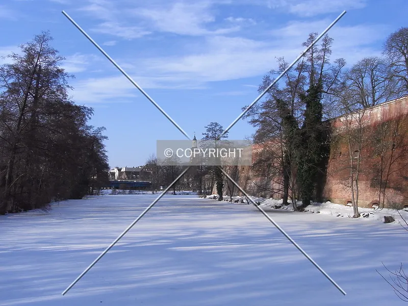 Photo 480-250-983