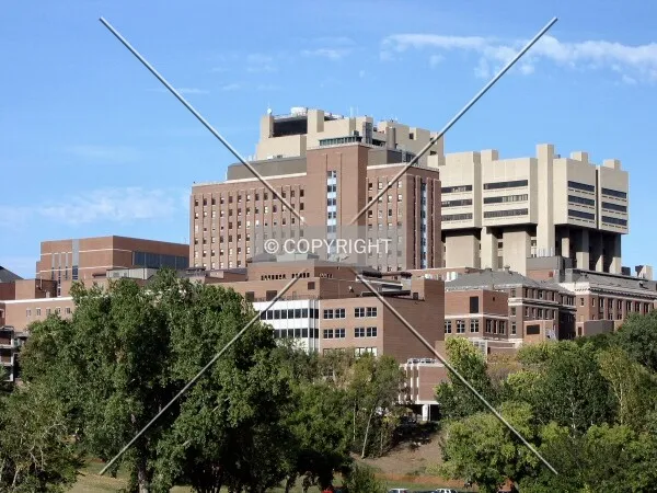 View to the northeast from across the Mississippi River, Moos Tower and Phillips-Wangensteen rising behind