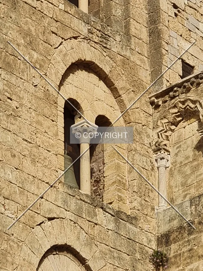Photo 480-461-579