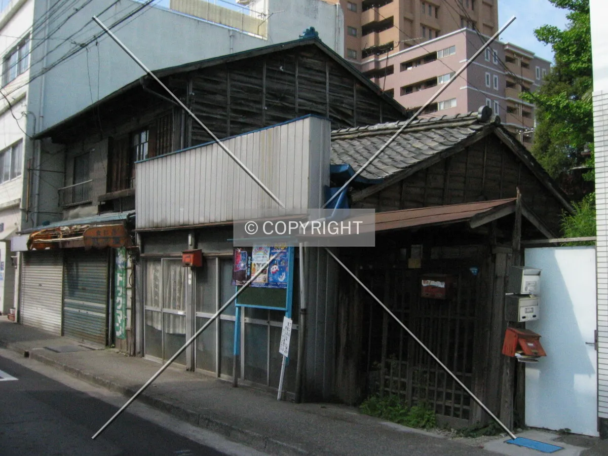 Photo 481-076-884