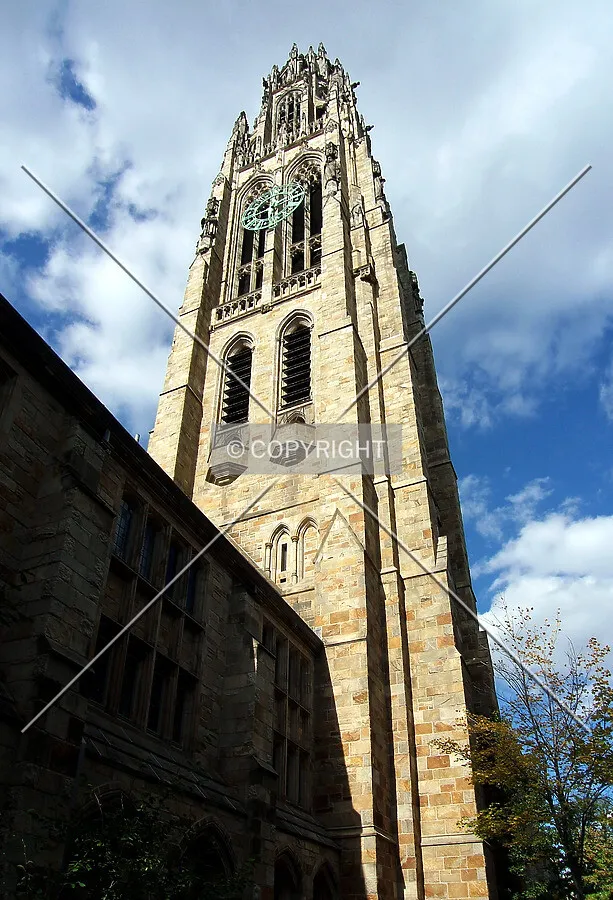 View from the south