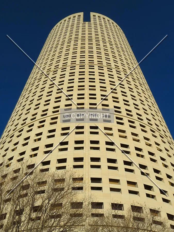 Looking up from the Tampa Riverwalk