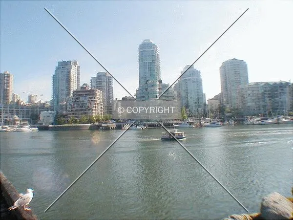 Photo 481-701-874