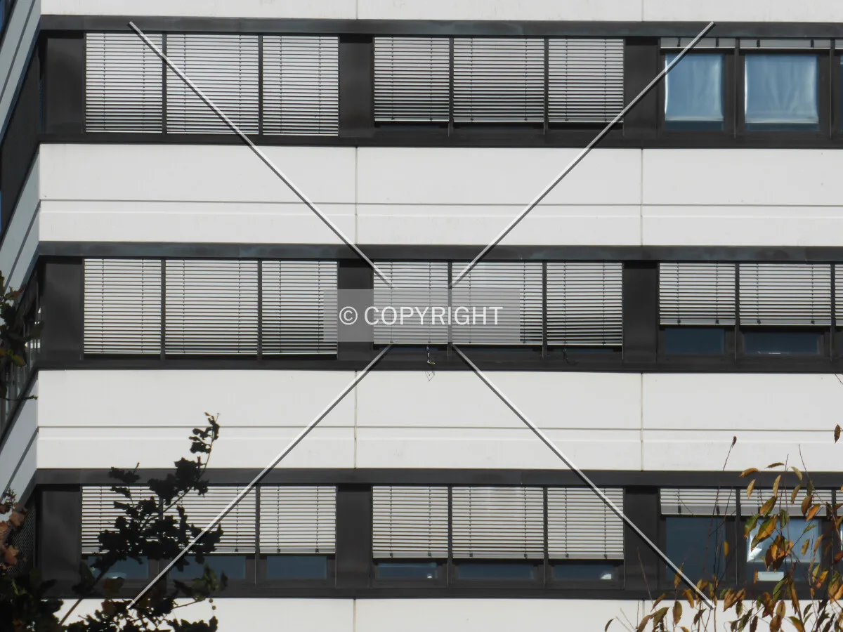 Photo 481-793-773